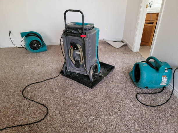 Best Water damage restoration near me  in Soda Springs, ID