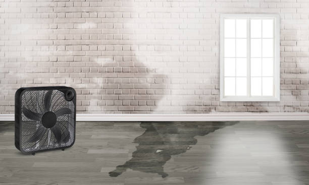 Best Ceiling water damage repair  in Soda Springs, ID