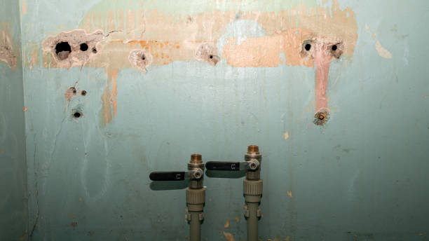 Best Water damage restoration cost  in Soda Springs, ID