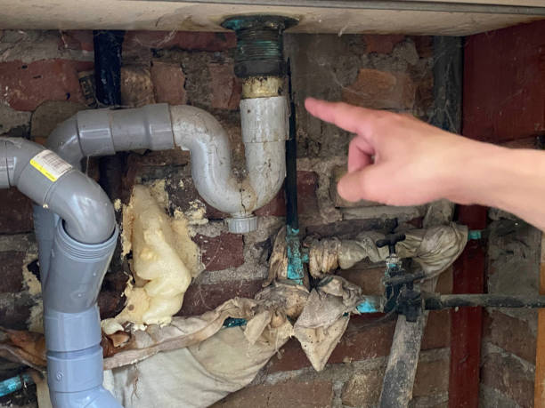 Best Water damage restoration near me  in Soda Springs, ID
